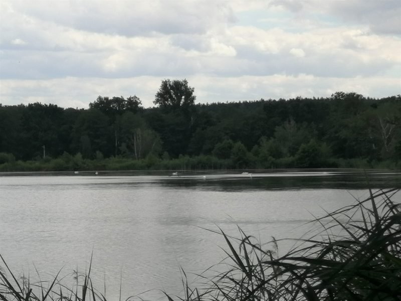 Baden und Wellness
