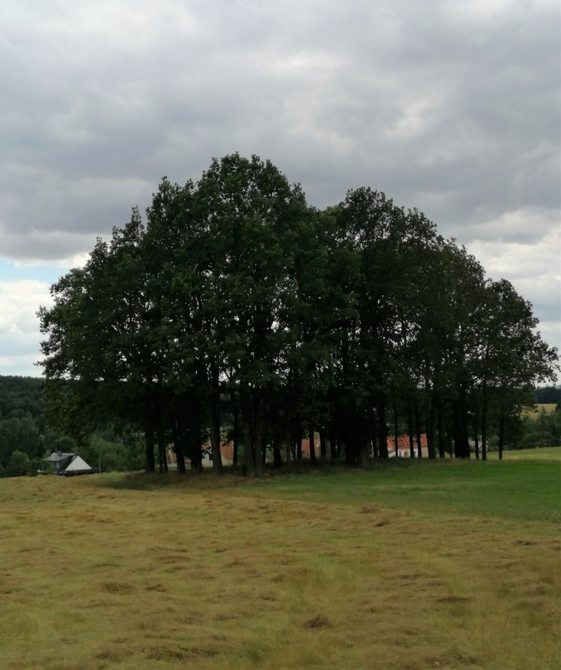 Kinderattraktionen in der Oberlausitz